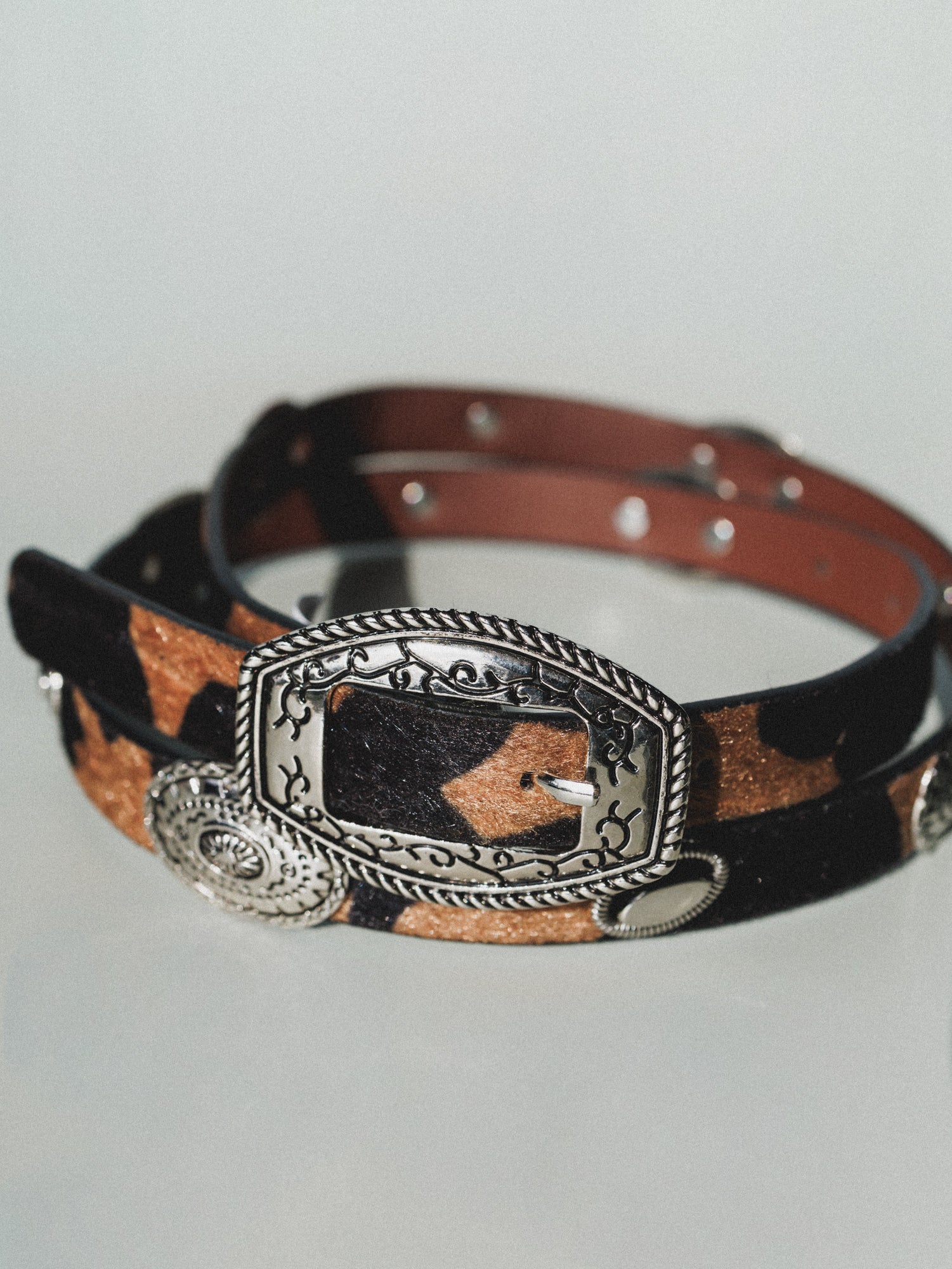 Small Town Grown Belt - Sand Coco - Image 2
